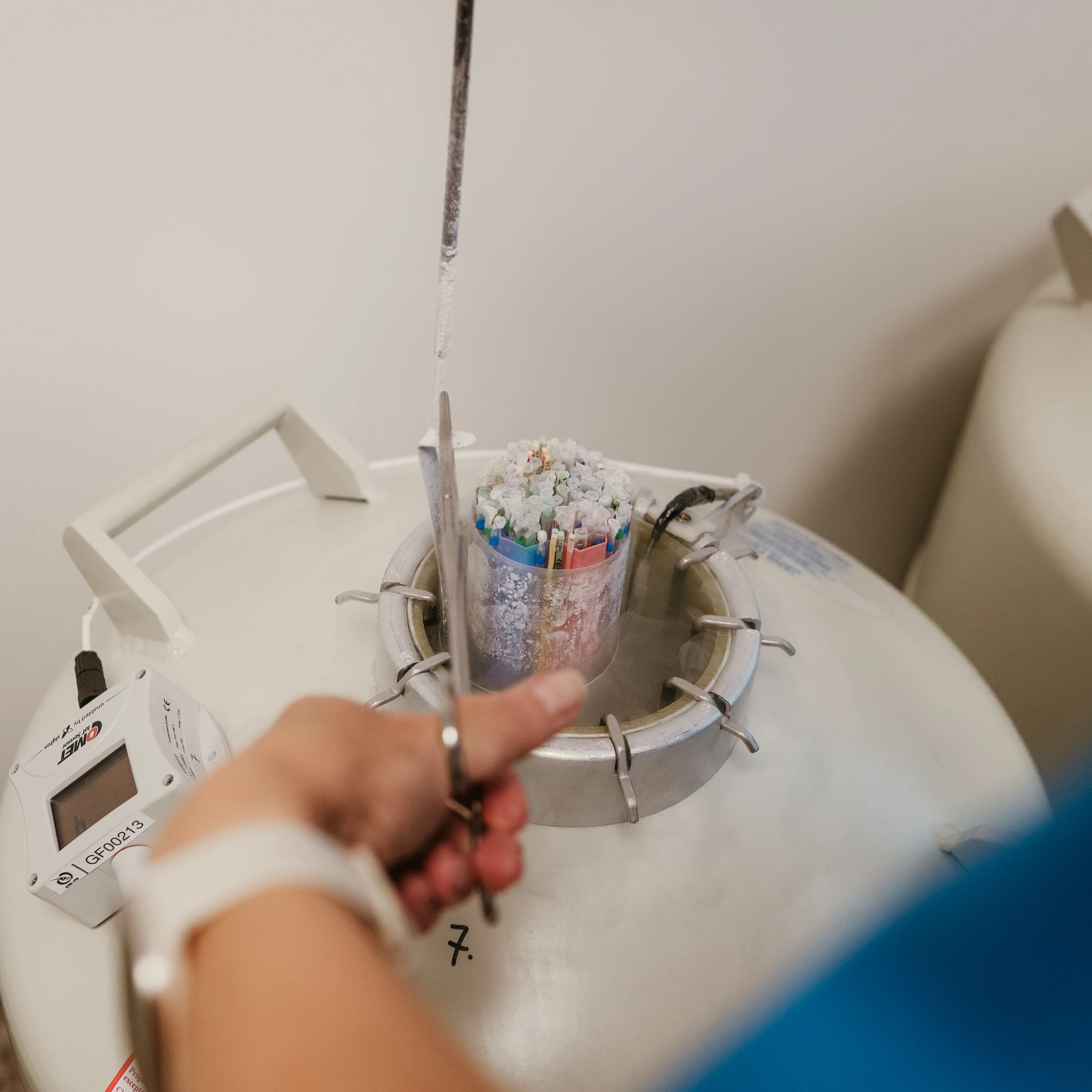 freezing, embryo freezing, oocyte freezing, egg freezing, infertility treatment, fertility, infertility, age and fertility